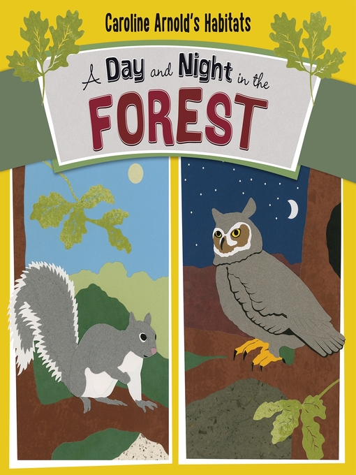 Cover image for A Day and Night in the Forest